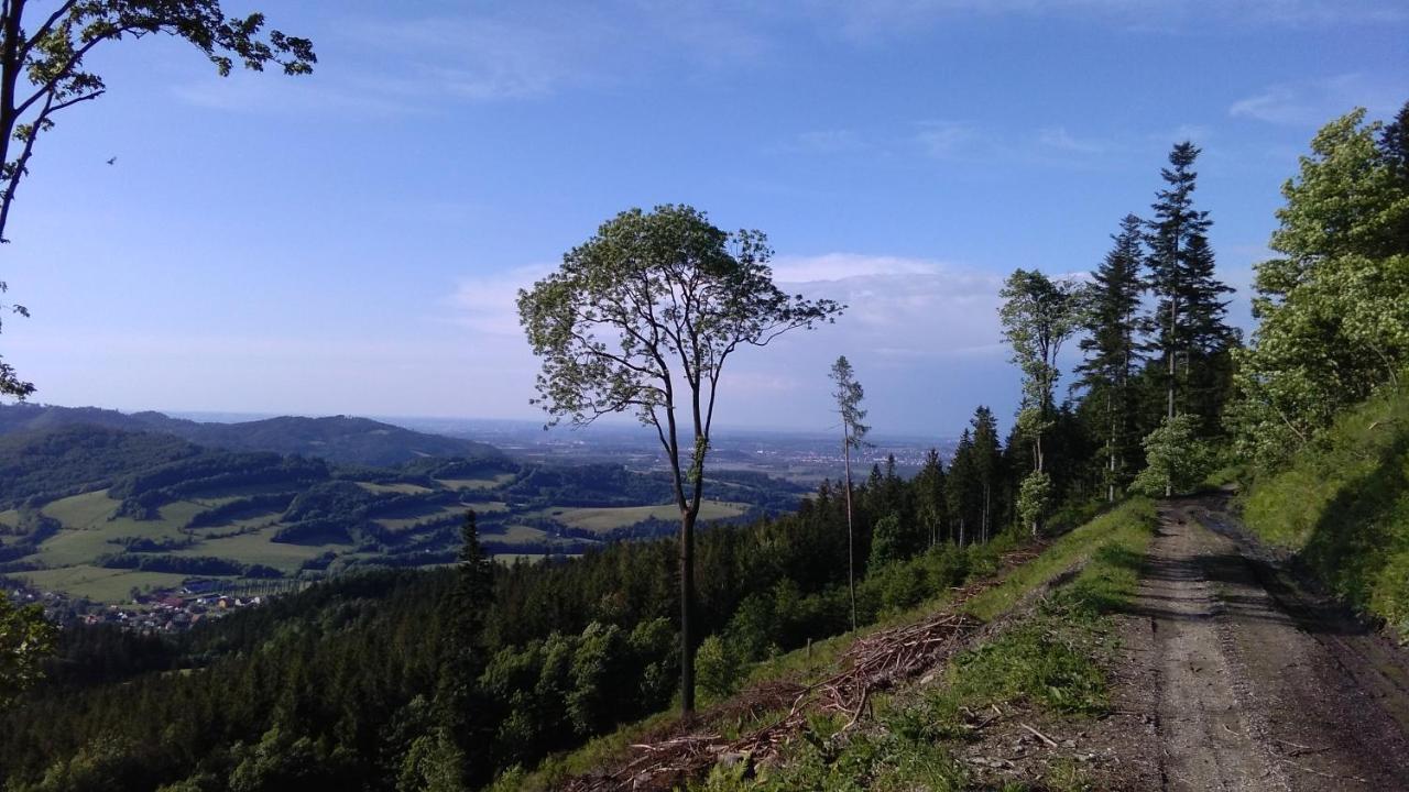 Dobra Chata V Dobre Villa Frýdek-Místek Dış mekan fotoğraf